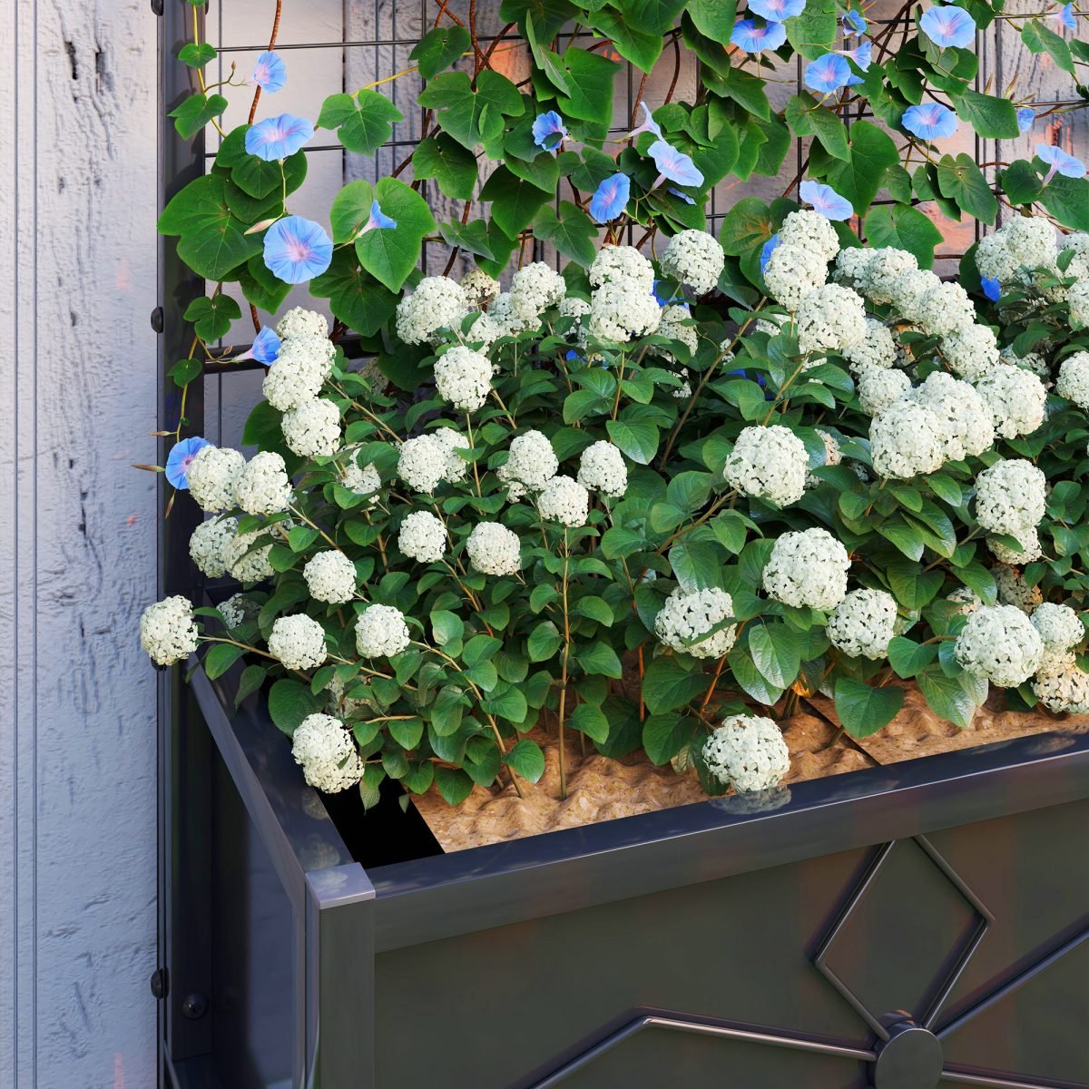 Outdoor Planter Box Galvanized Raised Garden Bed thumbnail 2