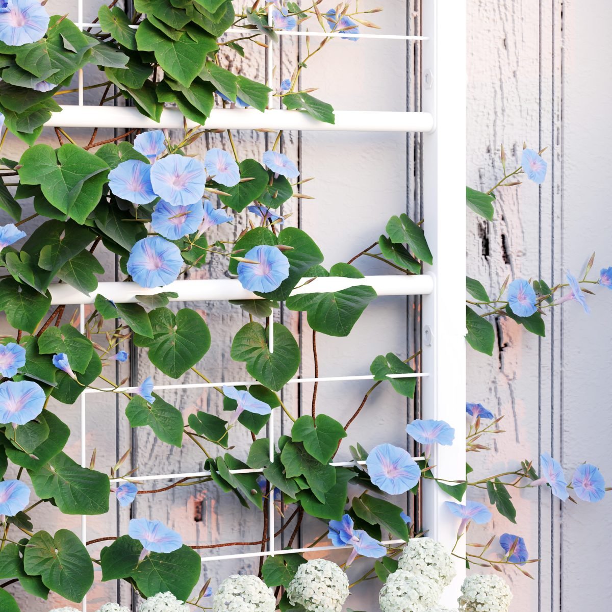 Outdoor Planter Box Galvanized Raised Garden Bed With Trellis For Climbing Vines thumbnail 2